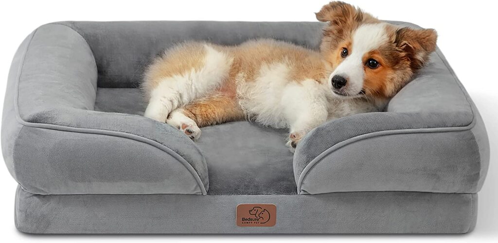 Top Must Have Dog Sofa Beds