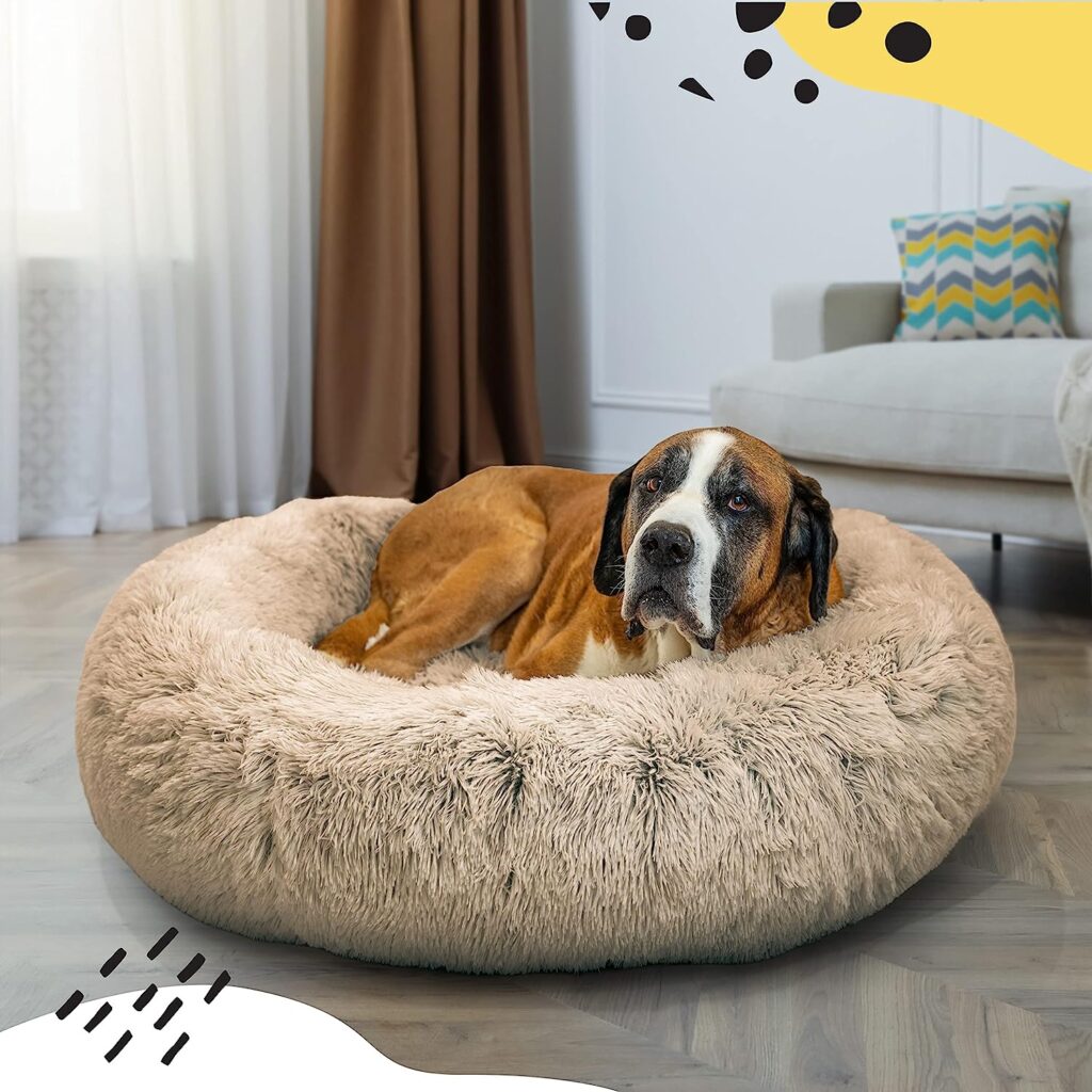 Top Must Have Dog sofas beds for Large Breeds
