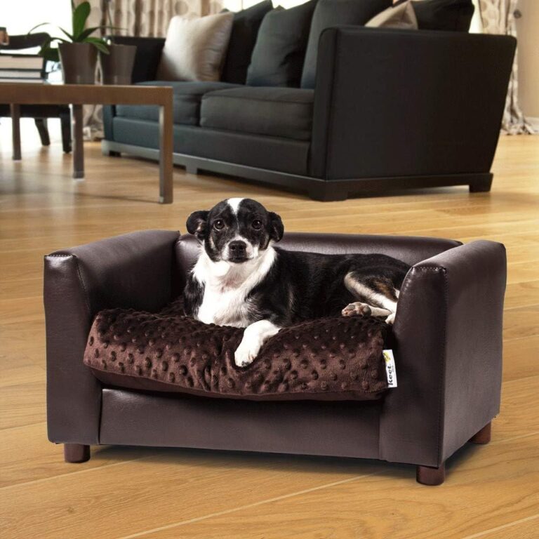 Dog Sofas for small breed