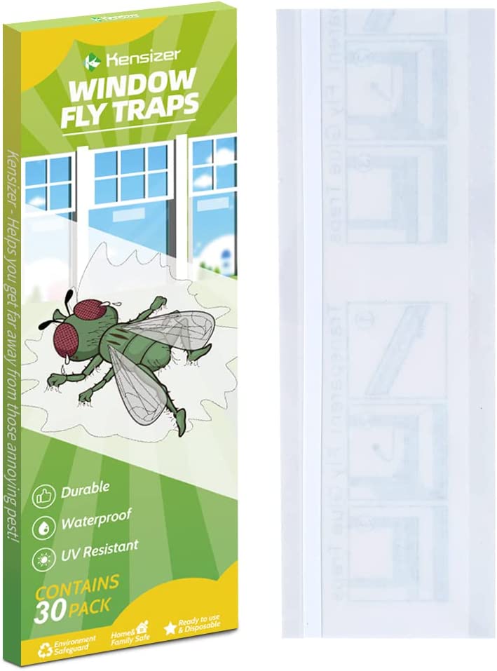 Best Indoor Fly traps